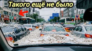 Новости Сегодня 12.05.2026 Катаклизмы, ЧП, События дня | Россия США Китай Европа Индия