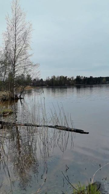 Красивое озеро 💐 смотреть онлайн