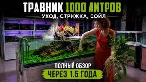 АКВАРИУМ 1000 ЛИТРОВ ЧЕРЕЗ 1.5 ГОДА | Уход | Стрижка | Пересадка