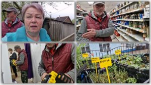 У НАС СЕГОДНЯ НЕБОЛЬШОЙ РЫНОК В ГОРОДЕ, КОНЕЧНО МЫ ПОЕДЕМ.