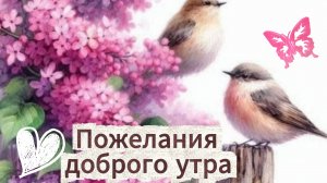 Доброе утро: пусть день будет добрым | Домохозяйка