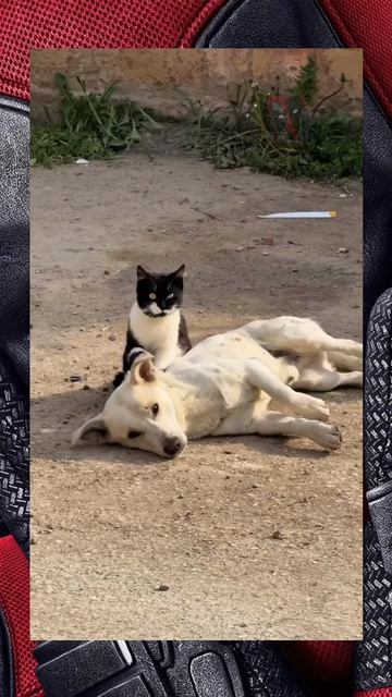 Не оставляй меня здесь! 😎🫶😼