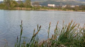 Выходные у озера.Красота! #Кисловодск