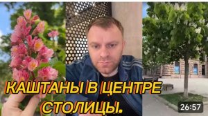 САМВЕЛ АДАМЯН, КАШТАНЫ В ЦЕНТРЕ СТОЛИЦЫ..