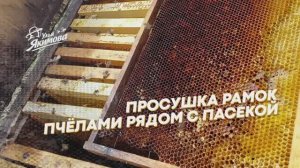 Просушка рамок пчёлами рядом с пасекой