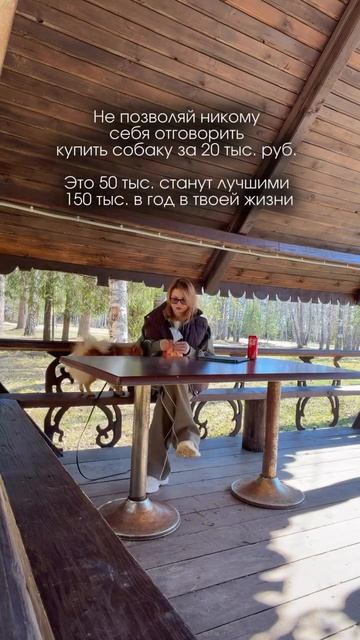Давайте подготовим собакупервозаводящих.