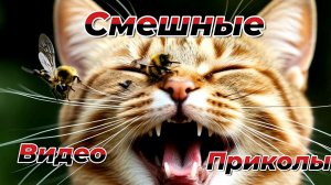Смешные видео приколы|Коты и собаки