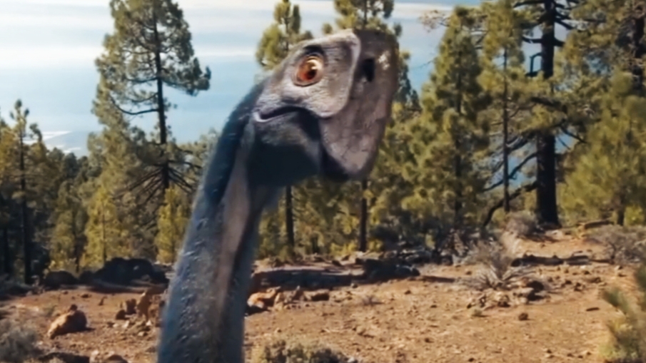 GROSS Animals Stuff!! смотреть онлайн