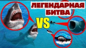 Легендарная Битва! Мегалодон против Блупа против Эль Гран Майя