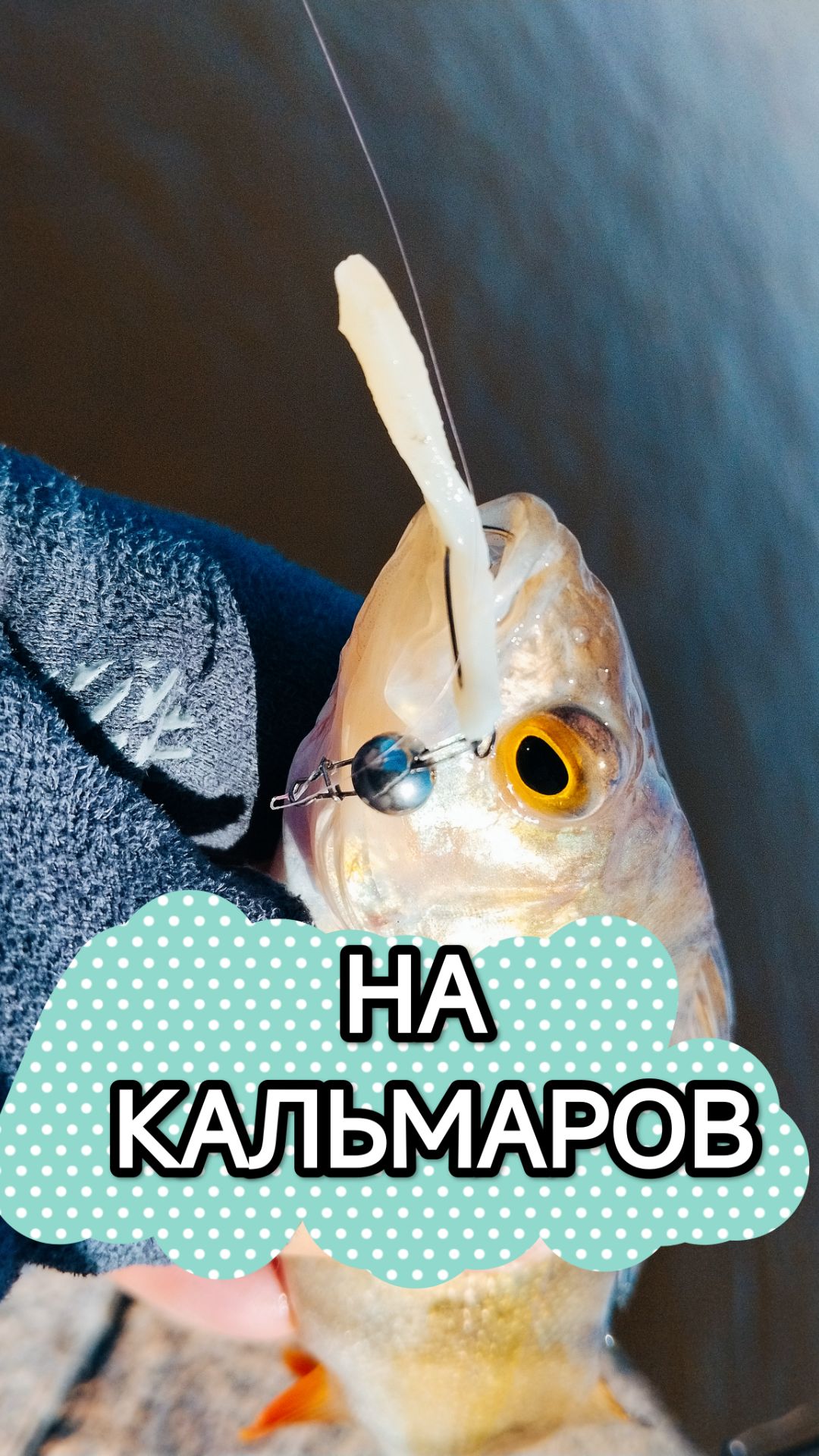 ОКУНЬ НА КАЛЬМАРА😁😁😁 смотреть онлайн