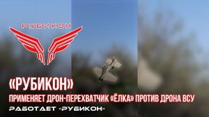 Донбасс. «Рубикон» применяет дрон-перехватчик «Елка» против дрона ВСУ.