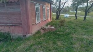 Как бесплатно бороться с мышами 👍😃