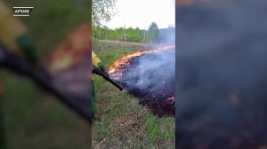 Программа Главные новости на 8 канале от 12.05.2026 Часть 1