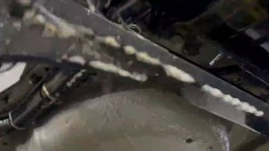 1000093921.mp4