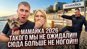 ШОК!!!  МАМАЙКА ЗАПРЕЩАЕТ СОБАК? НАС ВЫГНАЛИ СО ВСЕХ ПЛЯЖЕЙ!!! #сочи #море #мамайка #обзор