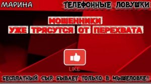 Мошенников трясет от перехвата