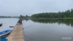 Ежедневный запуск форели!