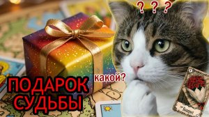 🎁 КАКОЙ ПОДАРОК, ПРИГОТОВИЛА СУДЬБА?🎁 расклад на картах Ленорман, гадание онлайнподар судьб 6