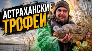 АСТРАХАНСКИЕ ТРОФЕИ САЗАН ЖЕРЕХ