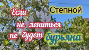 Если не чесать ПУЗО, а РАБОТАТЬ/Обзор посёлка СТЕПНОЙ/Всех накормили/Любуемся ЧУЖИМИ цветами