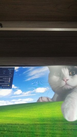 играем в Майнкрафт