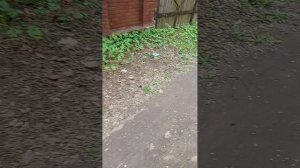 12-05-2026 Акция по экологии: сделаем наш мир чище!!!