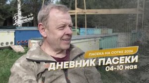 Дневник пасеки на сотке от 04-10 мая 2026 год