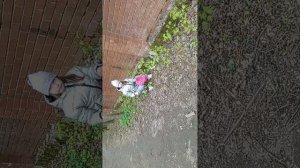 12-05-2026 Акция по экологии: сделаем наш мир чище!!! Часть 2