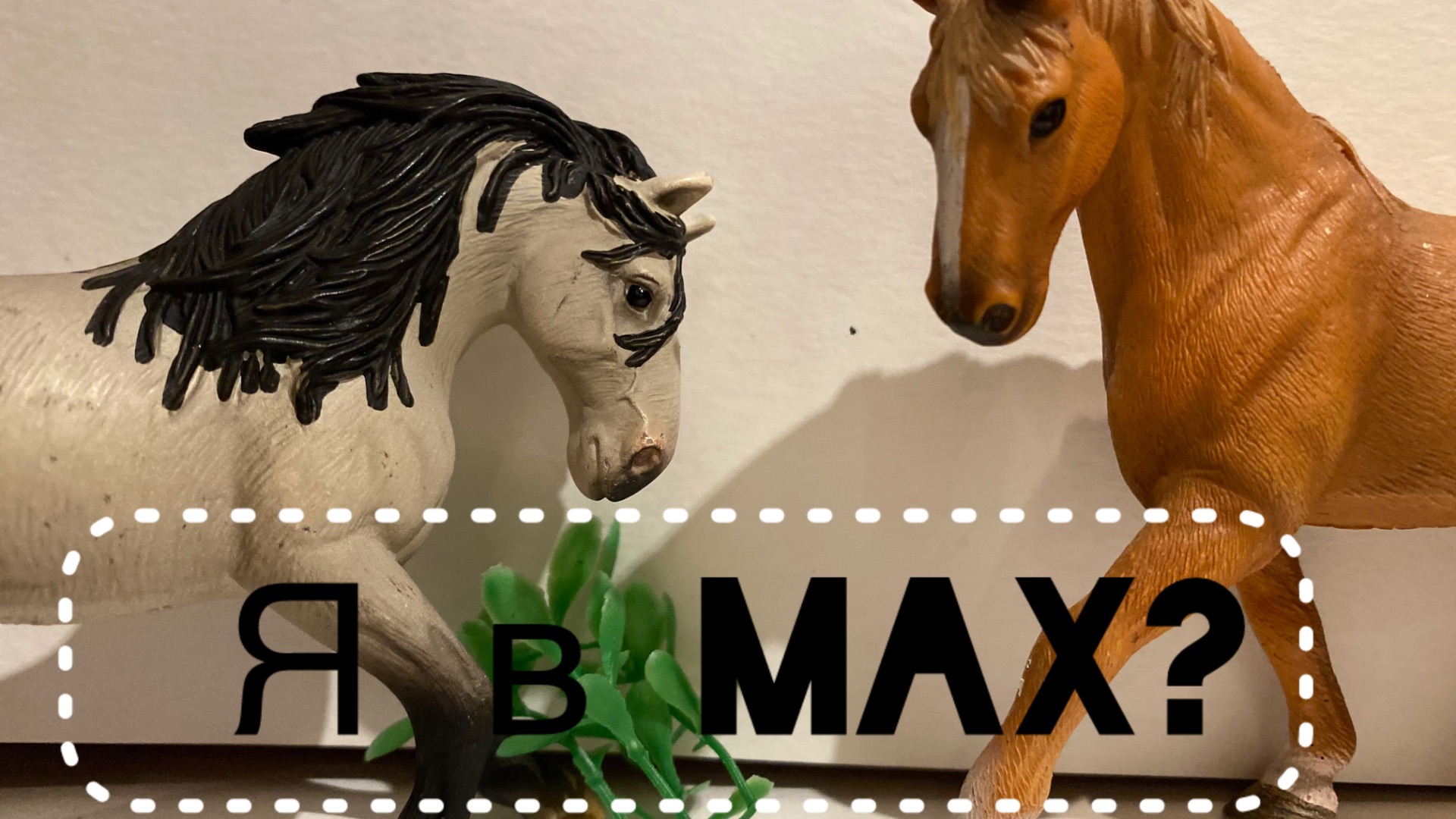 Я в Max?/ новости / смотреть всем!/лошади шляйх/😊