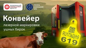 Конвейер для лазерной маркировки ушных бирок // Новая установка от Лазерного Центра для ГК ВИК