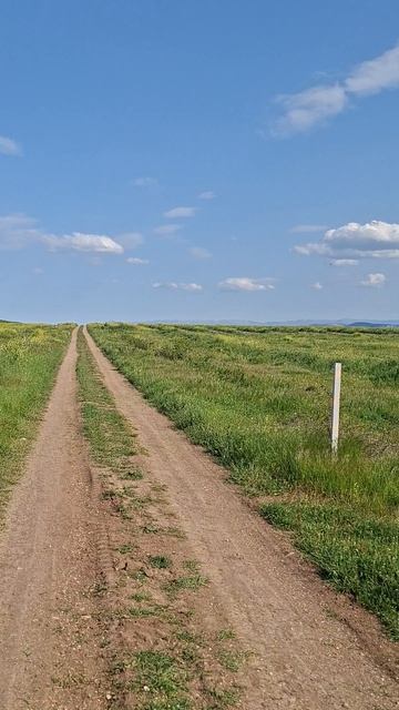 Прогулка по полям в Крыму смотреть онлайн