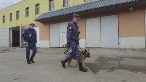«Специальный репортаж» СИЗО 12.05.2026