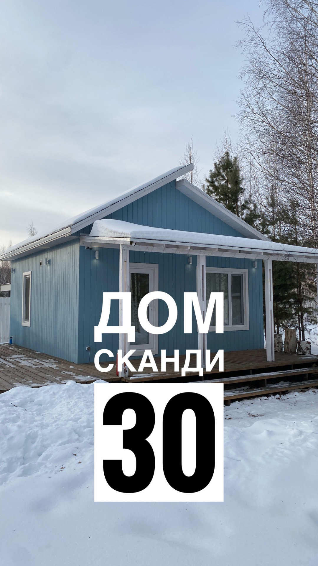 Обзор дома Сканди 33