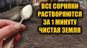 Все СОРНЯКИ исчезли за 1 минуту! После этого сорняки не растут 10 лет, лучше этого не знаю!
