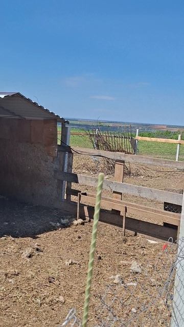 Погружение в природу на ферме Шварц и Гельвер в Крыму смотреть онлайн