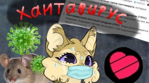 ХАНТАВИРУС.. Опять карантин?