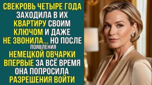 Истории из жизни «СОБАКА ПОБЕДИЛА СВЕКРОВЬ»  Слушать аудио рассказы. Аудиокниги слушать онлайн