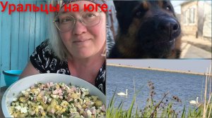 Вышка.Окрошка.Русалки и Царевна-лягушка.