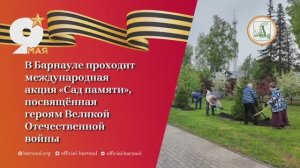 В Барнауле проходит международная акция «Сад памяти», посвященная героям Великой отечественной войны