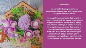 Молитва  на укрепление организма, восстановление сосудов головного мозга.