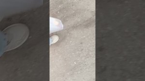 идем с магазина Малинки аптека и озон?!
