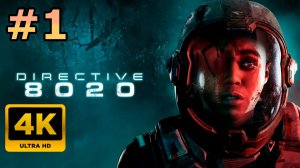 4К Stream➡🔴DIReCTIVE 8020