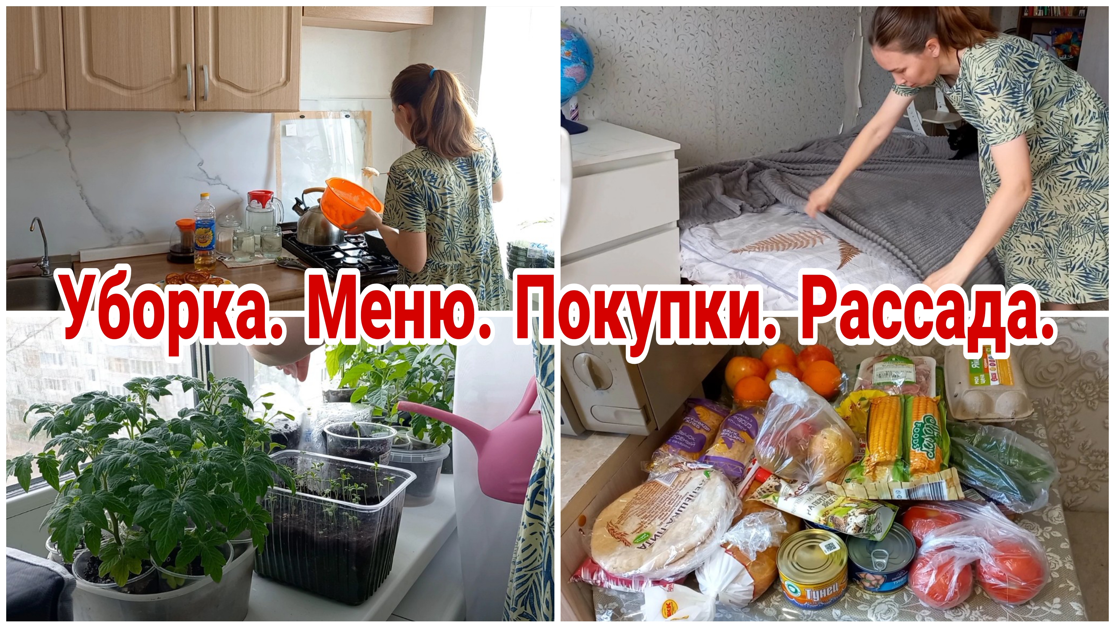 Уборка//Меню//Покупки//Рассада