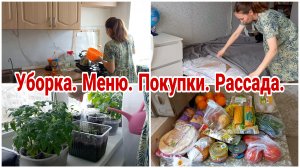 Уборка//Меню//Покупки//Рассада