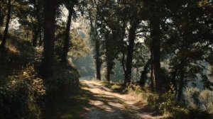 ПРОГУЛКА по лесу 🌿🌿🌿🌲🌳🌳🌳