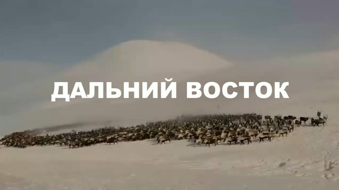 Песня эвена :: Форум Россия 809