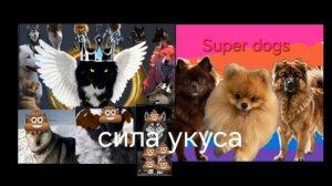 говно VS Super dogs