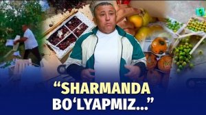 🍿 Bog‘bonlarning «hiylasi» qimmatga tushayotgani haqida