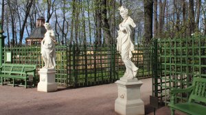 Прогулка по весеннему Летнему саду в центре Санкт-Петербурга. Вас ждут мраморные статуи!