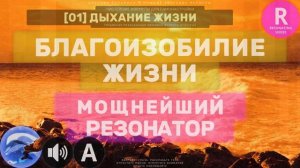 R01🐬 Музыка Благоизобилия Жизни 🔊 Мощнейший Резонатор